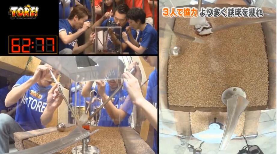 爱情、美食、旅行…你想看的都在这里！这些日综推荐欢乐不停