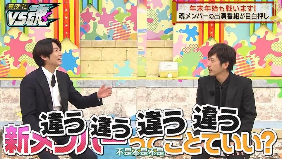 震撼爆笑：熊猫海狮有何看点得看日本综艺节目