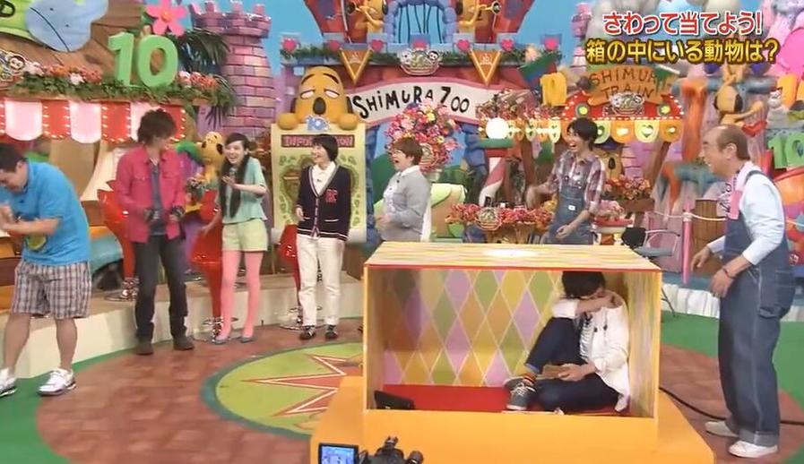 白井家兔子三兄弟，太萌了！《天才志村动物园》绝妙场景