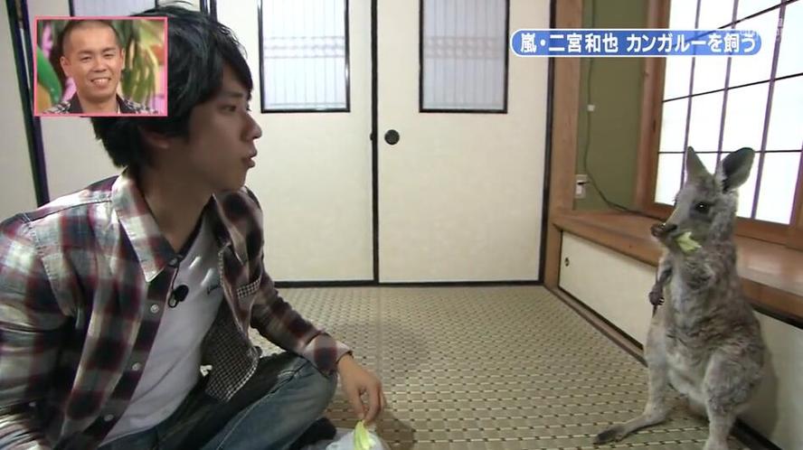 “在哪里可以看到日本综艺节目呢？”趁着疫情宅在家，这些视频app推荐给你