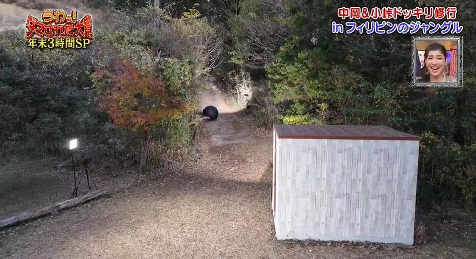 看日本深夜综艺节目？这些平台不可错过
