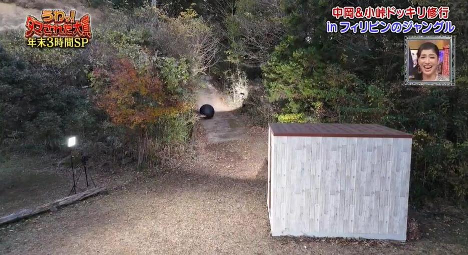 想看日本综艺节目？这里有最新的热门推荐哦