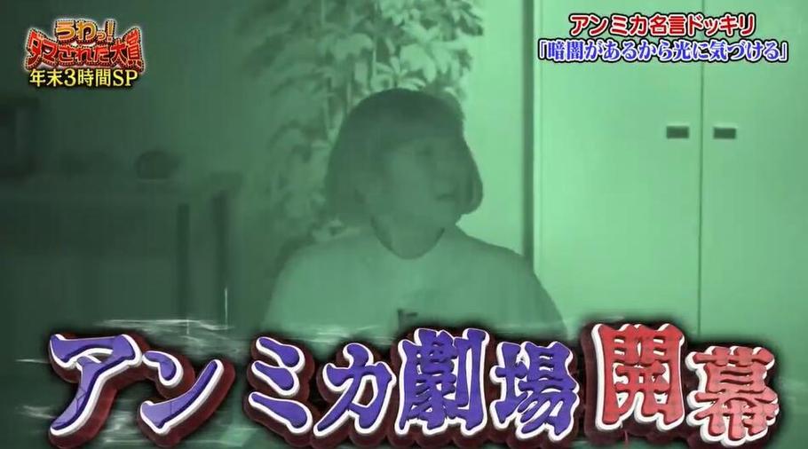 探访日本综艺的秘密花园：日本有哪些经典的综艺节目？
