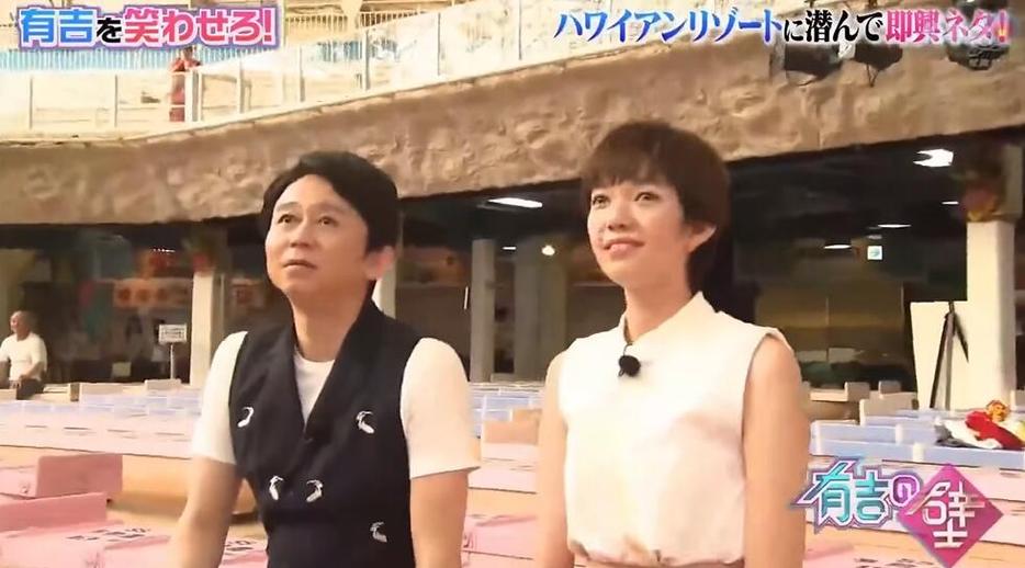 快来一探日本综艺真人秀节目，流行于全球的5档节目