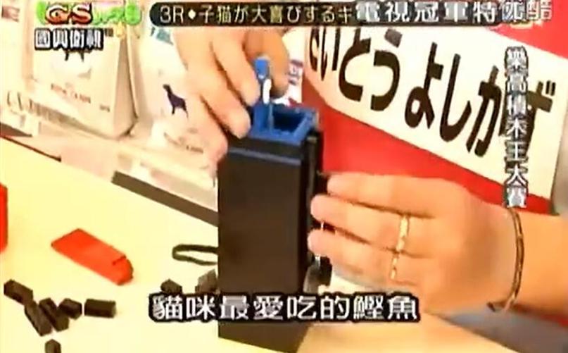 《征战全国！电视冠军王全集》： 披荆斩棘的热血之战