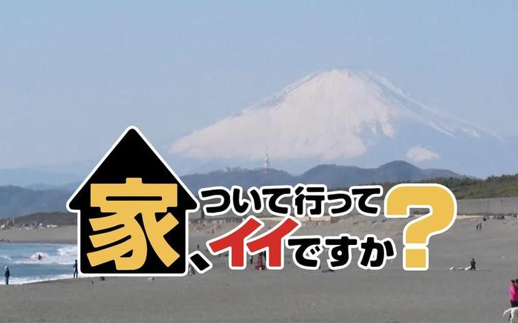 看日本综艺节目，知道它们在哪个频道更方便